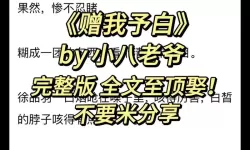 赠我予白完整版百度网盘：完整资源免费下载指南