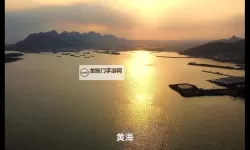 探索中国黄海在线：海洋生态与航运发展的新动态
