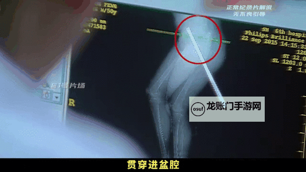 奇趣创意：大钢筋插入水蜜桃的奇幻美丽图1