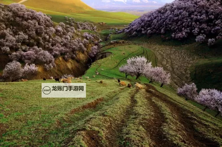 怎么双开石头纪？ 石头纪双开挂机图文全攻略图1