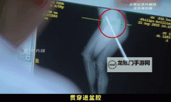 奇趣创意：大钢筋插入水蜜桃的奇幻美丽