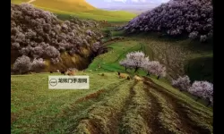 怎么双开石头纪？ 石头纪双开挂机图文全攻略