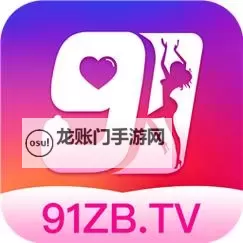 91在线在线超碰:最新安全访问指南与使用技巧图2