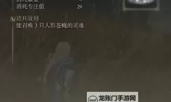 《艾尔登法环》黄金树之影DLC全骨灰收集攻略