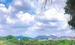 灵魂契约怎么双开  灵魂契约双开挂机软件推荐