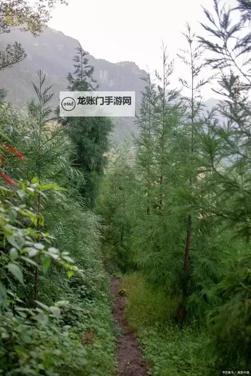 证监会吴清重磅发声:深化资本市场改革迎新机遇图1