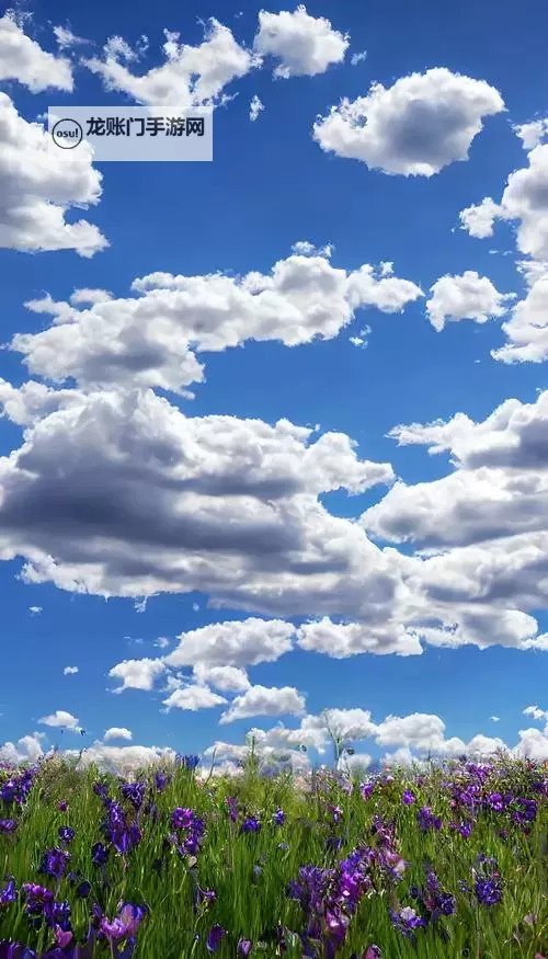 探索无限可能：永久免费Linux服务器的最佳选择与使用指南图1