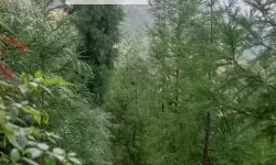 证监会吴清重磅发声：深化资本市场改革迎新机遇