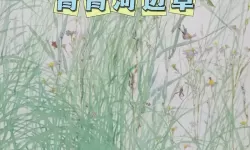 《青青河边草免费观看最新更新：全集在线免费观看无需等待》