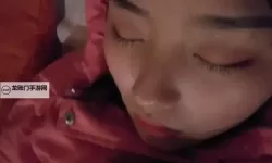 探索亚精区区一区区二在线：最新动态与资源分享