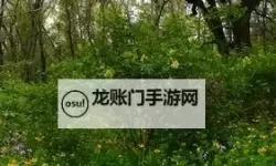 探索自然之美：野花社区www高清图片欣赏