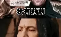 遇见我的混血王子：那些难以忘怀的奇幻瞬间