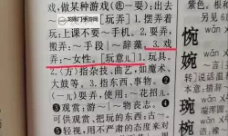 揭示真相：组词女人曝光的图片引发热议