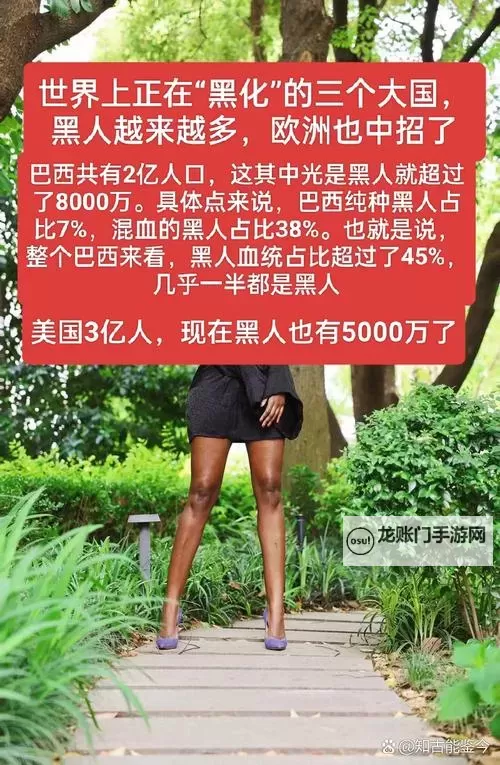 关于【黑人色网站】:网络中的多元文化与隐秘角落图1