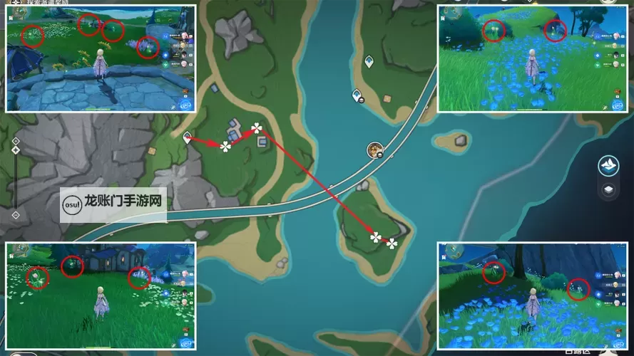 《原神》4.0虹彩蔷薇采集路线参考图1