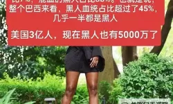 关于【黑人色网站】：网络中的多元文化与隐秘角落