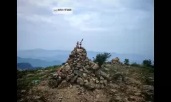 《幽浮2》控场与侦查等战术技巧详解