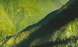 五大肉鸽卡牌游戏盘点 有哪些好玩的肉鸽卡牌游戏