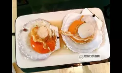 美味诱人：再把腿张大点就可以吃到扇贝了的秘密！