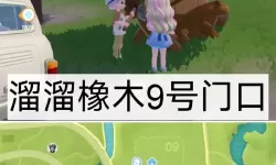 《心动小镇》8月17日溜溜橡木、萤石位置