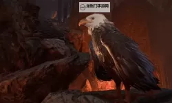 《博德之门3》德鲁伊高爆发BD推荐