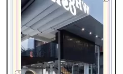 如何获取最新SIS地址：详细指南与更新信息