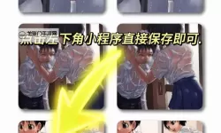 《雨后的故事原版免费看—感受纯粹的文学魅力》