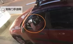 在车内疯狂打扑克：高速行驶中的热血对决