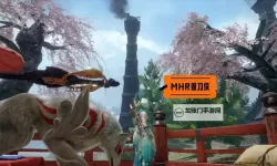 《怪物猎人崛起》双刀满暴击配装推荐