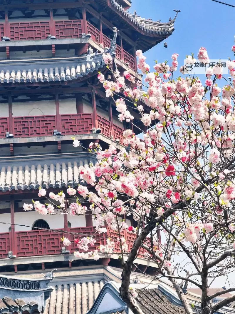 探索缤纷悦动的青春记忆——色色四月天的绚丽时光图1