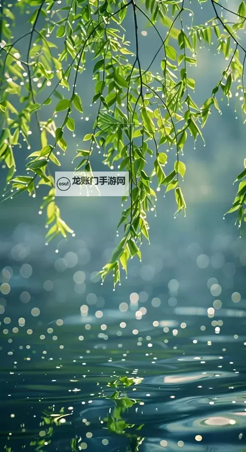 布林机怎么双开 布林机双开挂机软件推荐图1