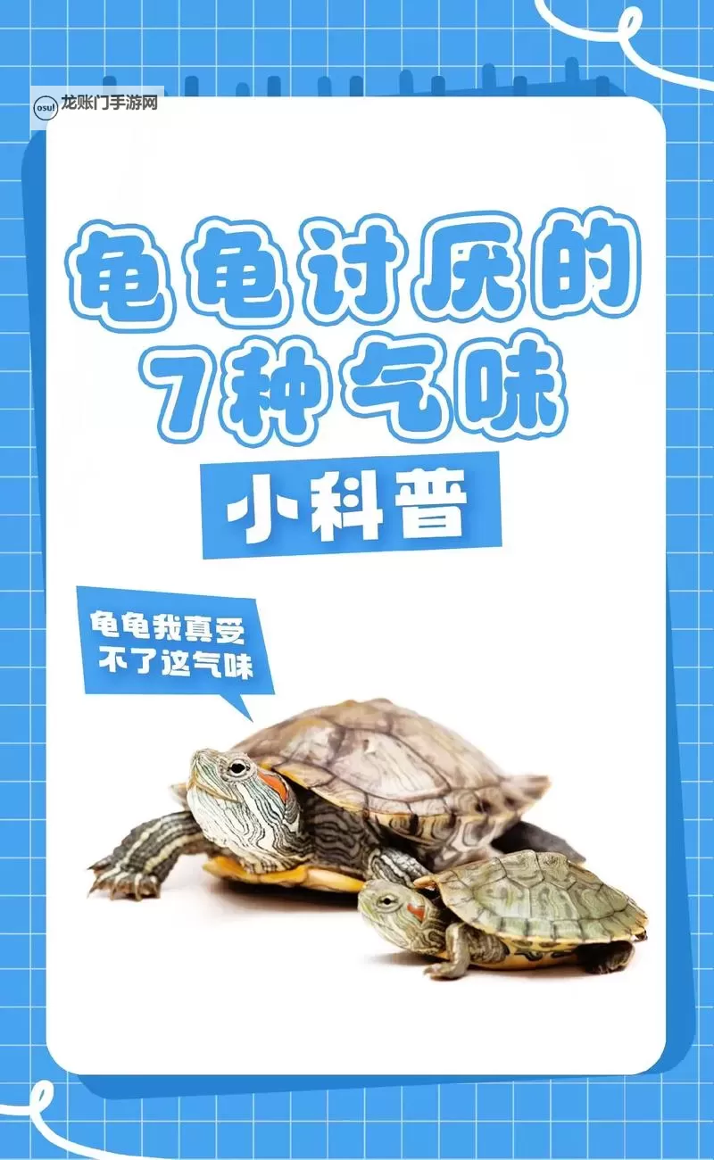 怎么降低龟灵敏度的方法详解与实用技巧图1