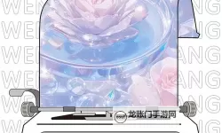 用点力用一点力我快到：奋力冲刺的青春篇章