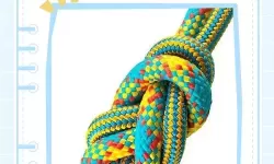 趣味运动新体验：走绳子打结PLAY的快乐时光