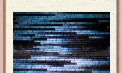 中文字幕导入乱码解决方法：详细步骤与实用技巧