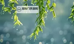 布林机怎么双开  布林机双开挂机软件推荐