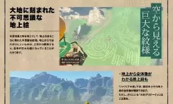 《塞尔达传说王国之泪》速刷材料BUG使用教学 王国之泪怎么刷钱