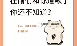 主人我错了请把它关掉好不好：一段关于反思与和解的心路历程