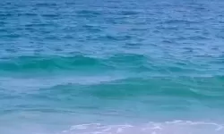 雪幻城缘怎么双开  雪幻城缘双开挂机软件推荐