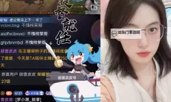 2024年度最全攻略：如何享受永久免费B站直播，无限畅看精彩内容