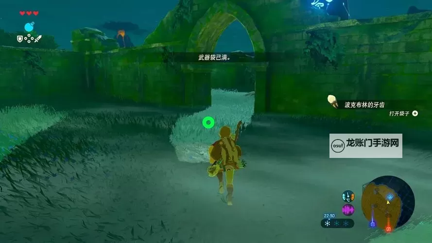 《塞尔达传说荒野之息》全箭矢999收集攻略图1