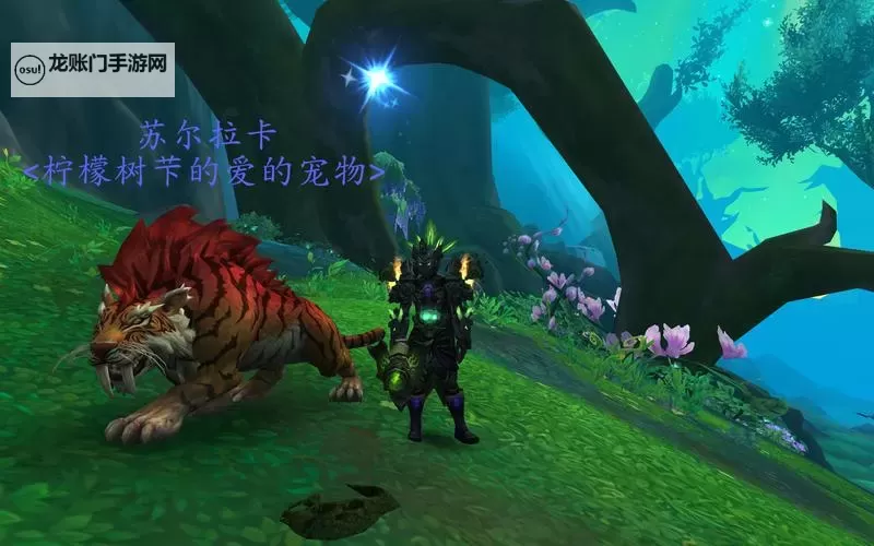 魔兽小宠物电脑版下载 最全魔兽小宠物电脑版攻略图1