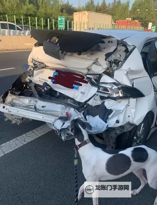 在车里被撞了八次高A:逆境中勇敢前行的故事图1