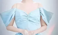 杨紫一级毛片：最新高清图片全披露