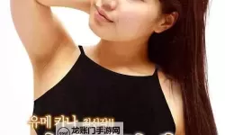 最新在线观看：2019年完整版中文字幕视频全收录