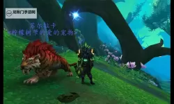 魔兽小宠物电脑版下载 最全魔兽小宠物电脑版攻略