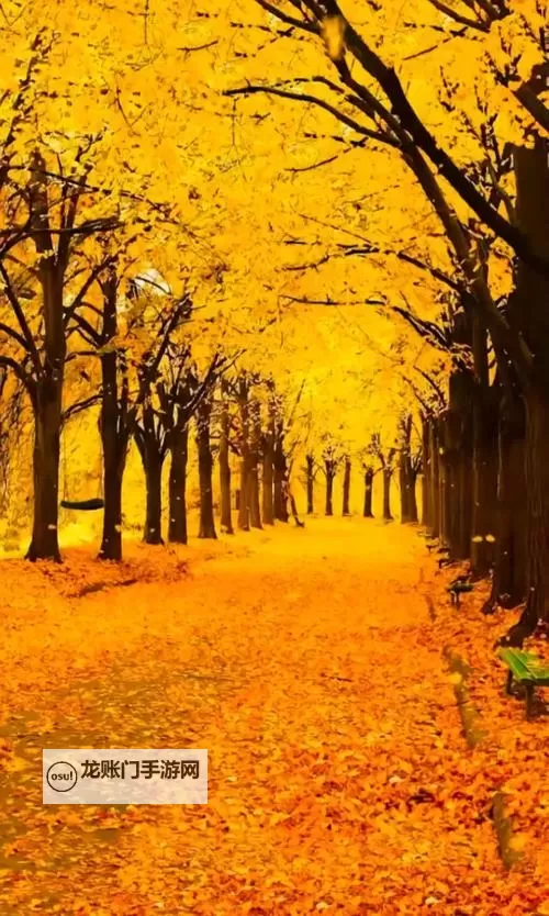 《勇者斗恶龙英雄2》小金币获得方法及兑换道具一览 小金币怎么获得图2