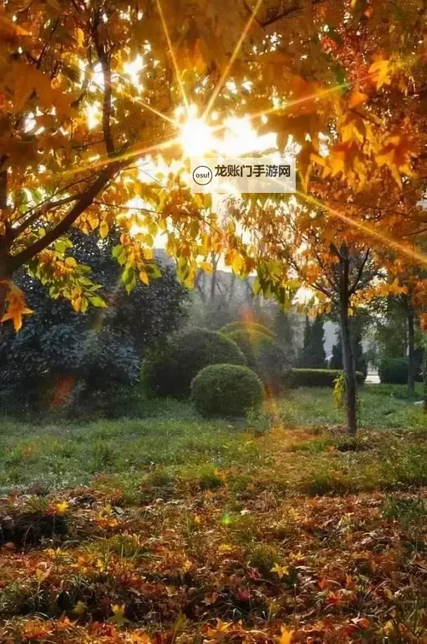 《勇者斗恶龙英雄2》小金币获得方法及兑换道具一览 小金币怎么获得图1