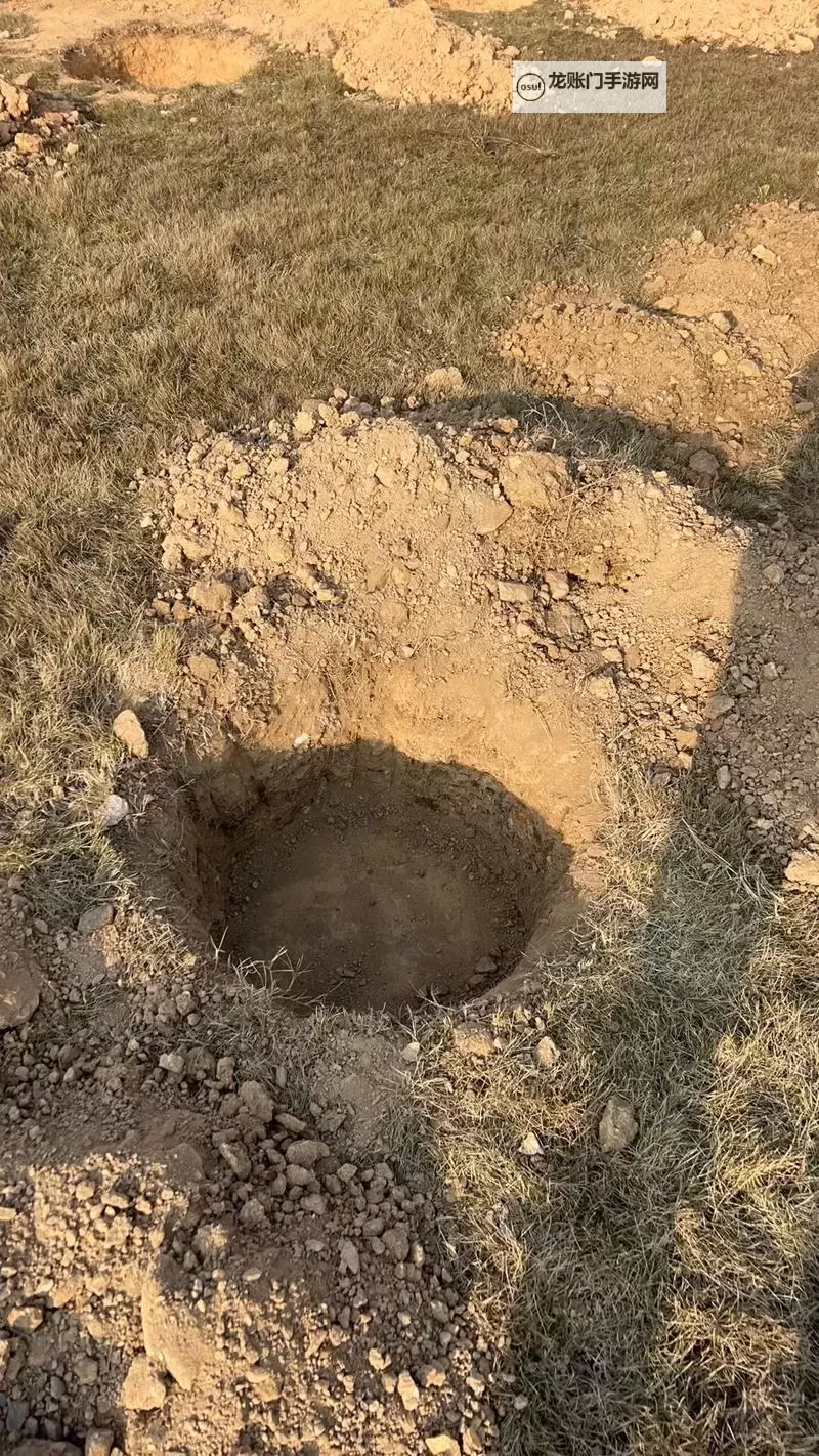 搜一个大黄色的挖坑:都市奇闻趣事揭秘图1