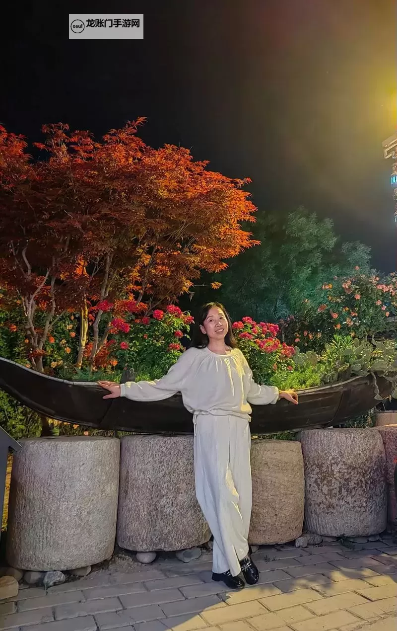 夜色伊人:午夜中的绝美传奇图1